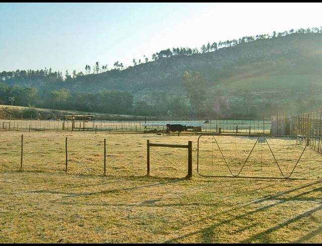 FARM FOR SALE IN GEORGE RURAL
